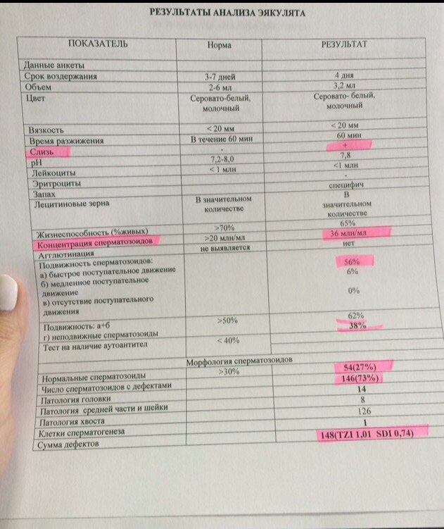 Образец результата спермограммы