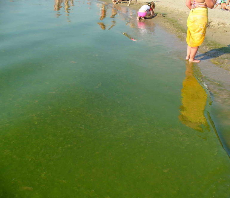 витязево фото море онлайн витязево фото море