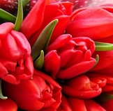 ИЮЛЬские экошечки! Поддержите друг друга!