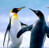 АПРЕЛЬские экошечки! Поддержите друг друга!