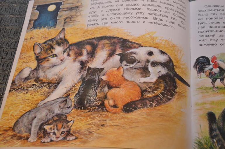 За деревней весело играла кошка со своими котятами план текста