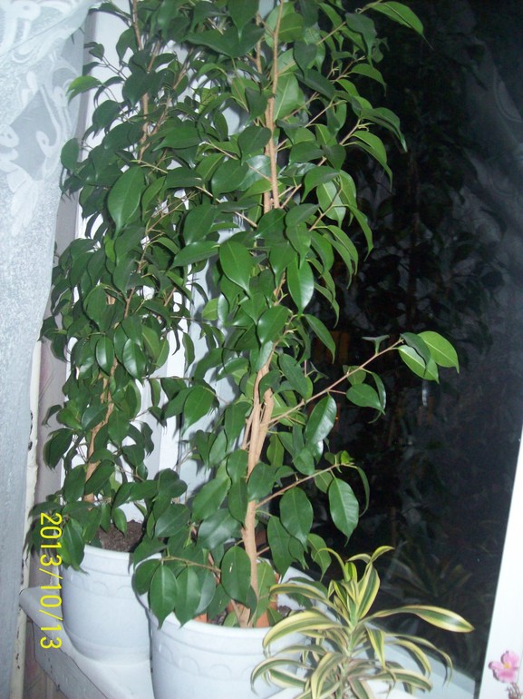 ceb7ef9b617f070ef6ac17e3d142a93f.jpg