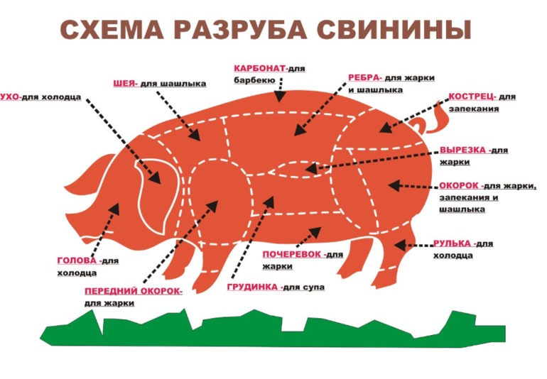 Мясо. Что для чего.
