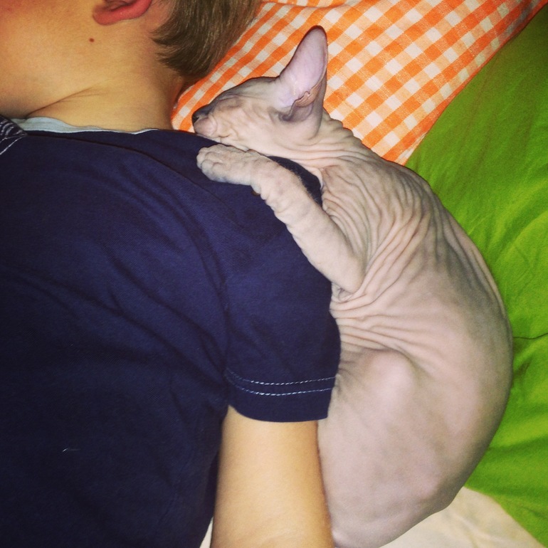 Мои киски)