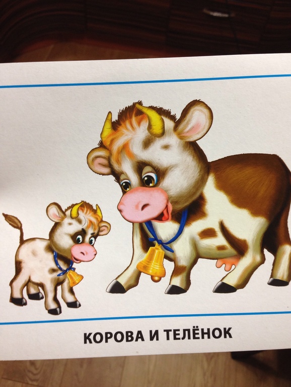 ТЗ