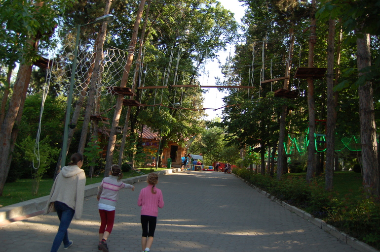eba16b8804c73fa131a2e88e18af2c16.jpg