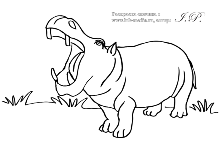 2a36743cc090f51f60ebb20bca97748c.png