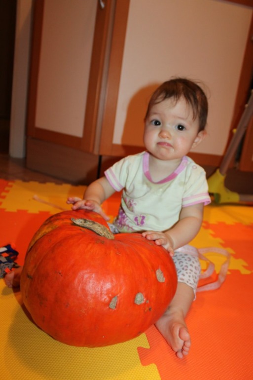 0cdb031a81160246557353fecdaacece.jpg