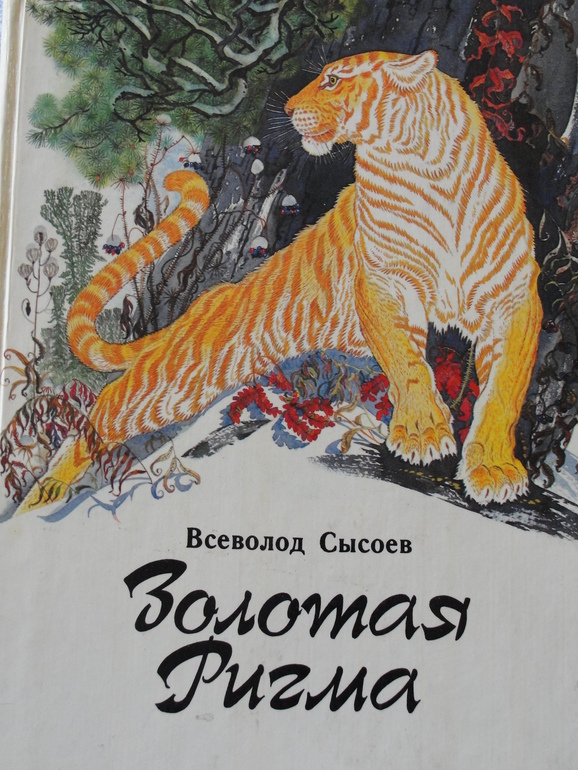 Мой отчет -совмещение приятного с полезным