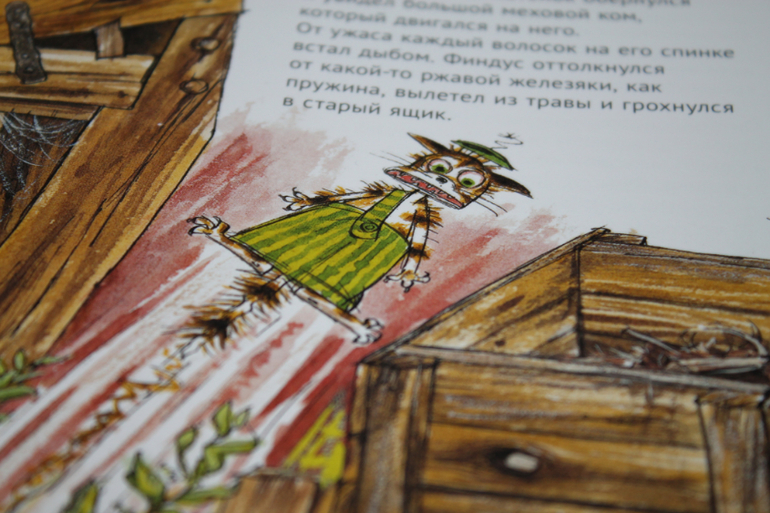 Финдусомания или добрые истории про милого котенка.