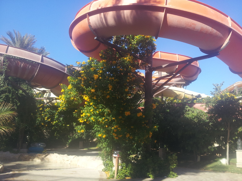 Отдых в Sunwing Waterworld Makadi 5*