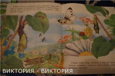 573c253249dd3057487ca2593fefddf9.jpg