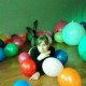 Ксения Красикова