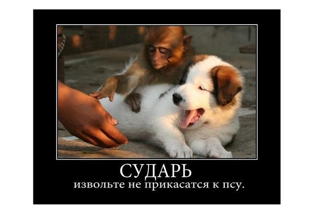 eea27c3a1578ffcf3ff5ff83ad723c8d.jpg