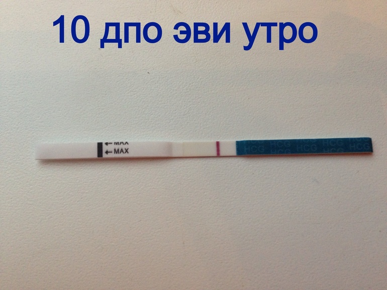 10 дпо тест . И думаю пролет....