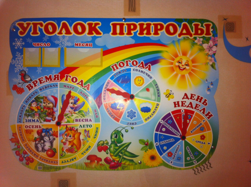 Наш календарь наблюдений