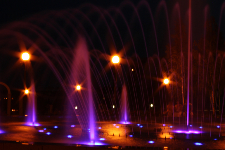 Парк роз