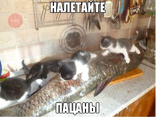 )))