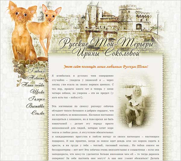 Создание сайтов