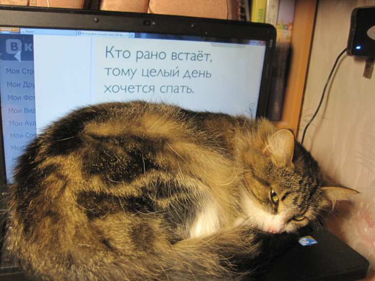 Афоризмы от Кнопочки