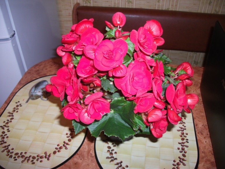 e9fa1cc5d1475fb7064612caca2e2d39.jpg