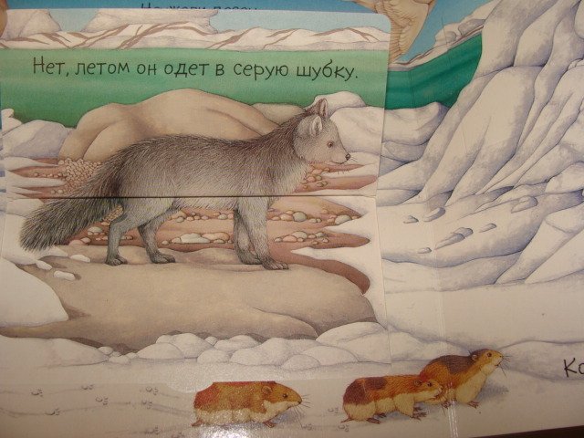 книжки