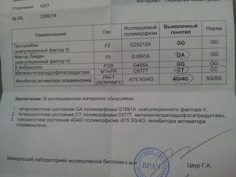 Сдала анализ на генетические тромбофилии(((