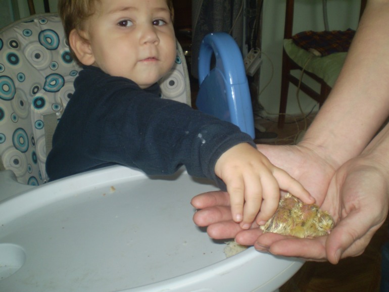 а у нас ...