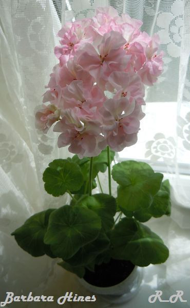 Цветочки