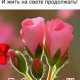 Наталья Наталья