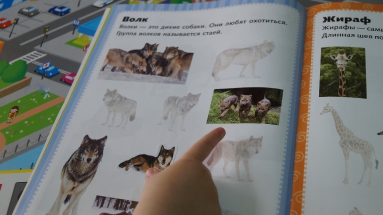 занятие по книжкам