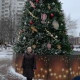 Елена Золотова-Шипилова
