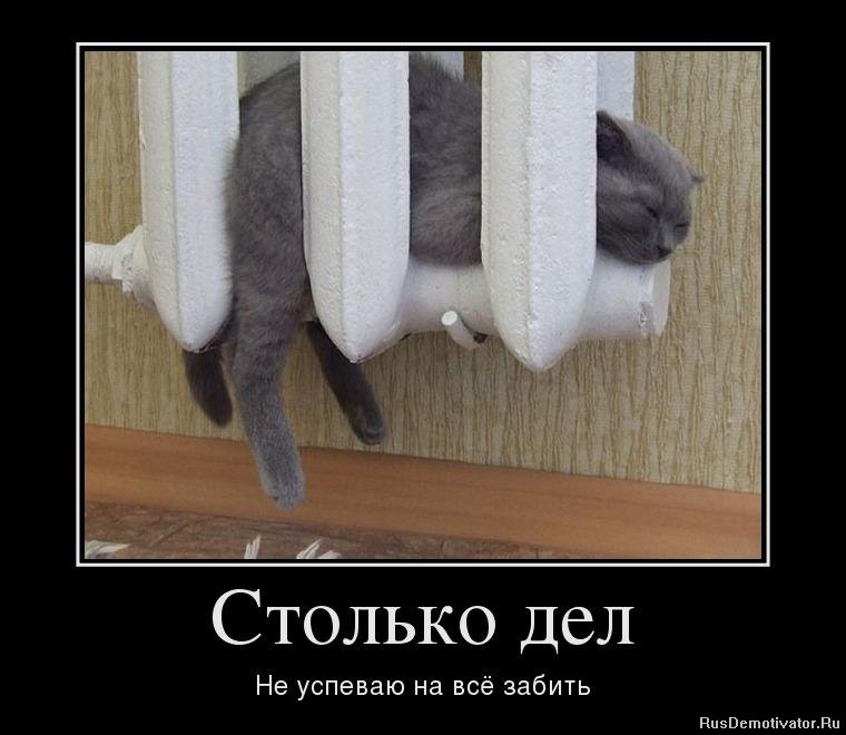 Домашнее
