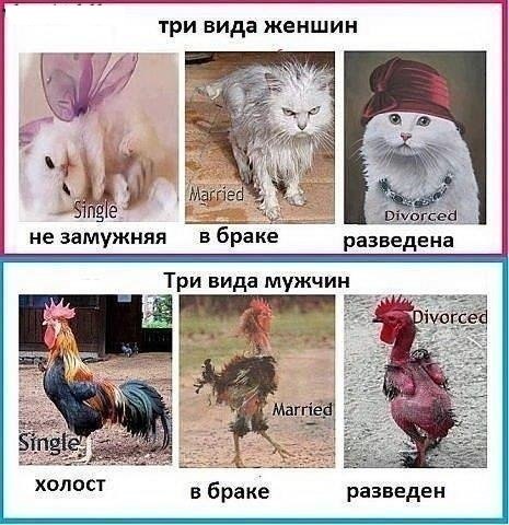 ХАХАХА