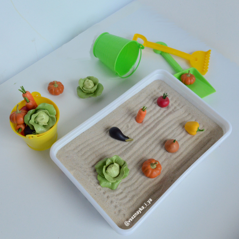 Игровой набор "ВСЕЗНАЙКА" Сад и огород — 24 ответов на