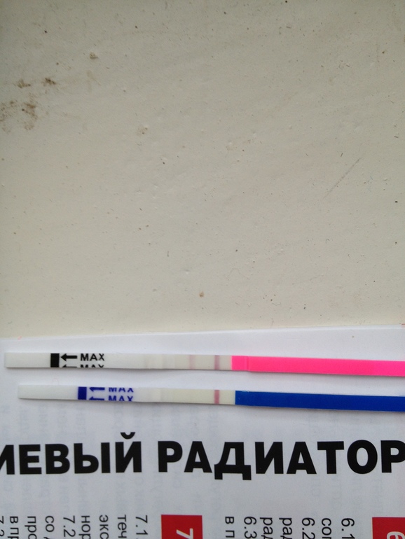 пришли тесты с ebey))) сразу замочила
