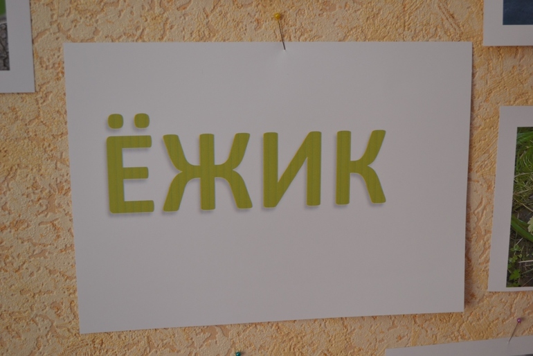 Тематические дни
