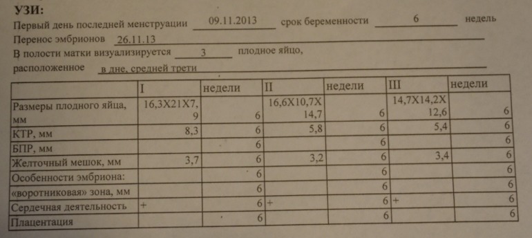 Мы в шоке!!! я видел сердечки 6 недельных человечков!
