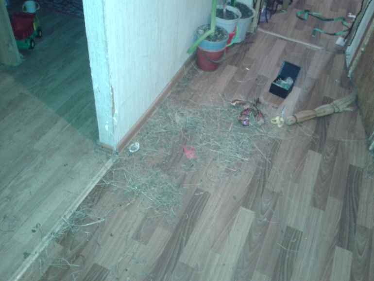 Проводы русской зимы и встреча весны.