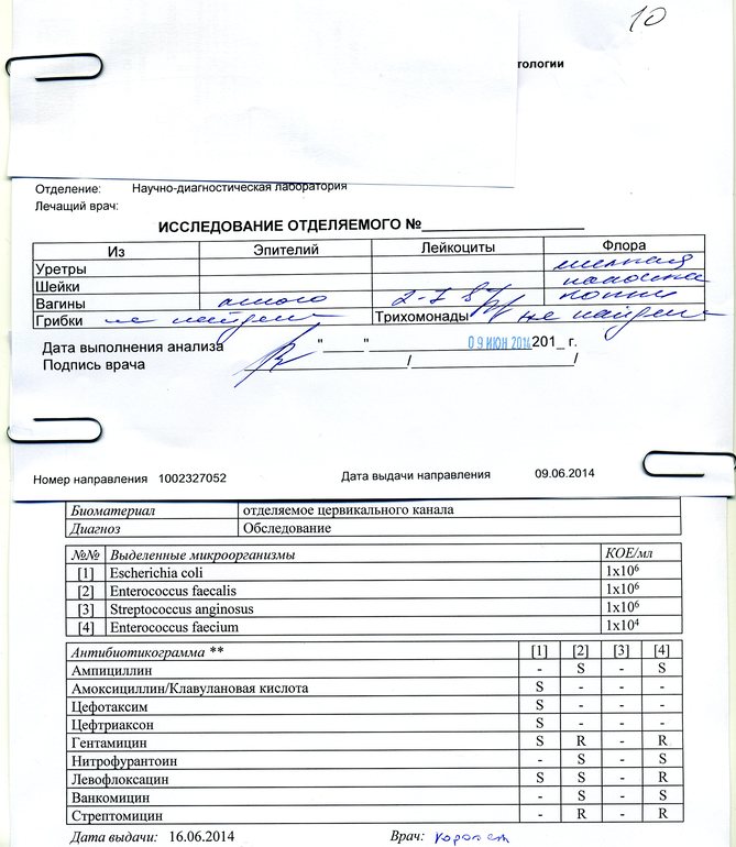 Помогите расшифровать мазки. Ничего не понимаю.