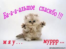 56d305aab100df329aea8d043c6e2982.jpg