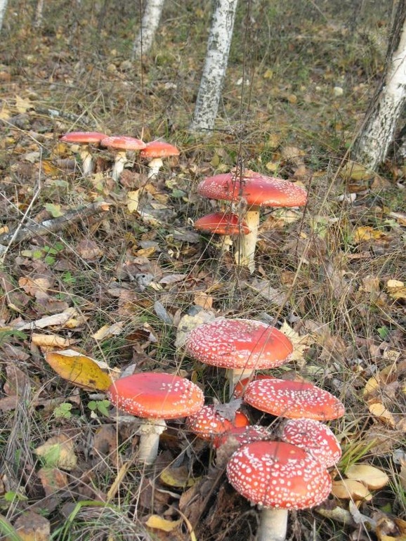 ee30ca4773c4902515f980144918b671.jpg