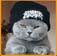 Ряды на лето 2014 для полных ножек