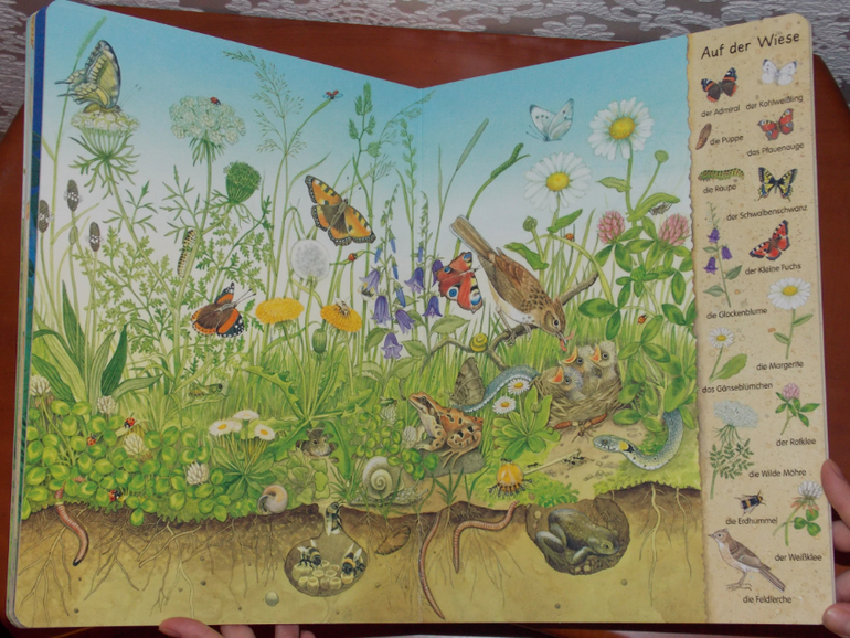 Развороты Mein erstes Wimmelbuch - Feld und Wiese by Christine Henkel