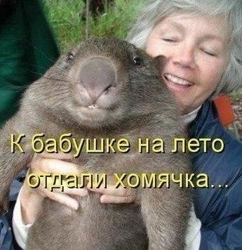Улыбайся, улыбайся...)))