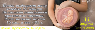 823776a5943e2a52610d1f4ff38aa029.jpg