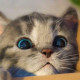 iamnatalie0808