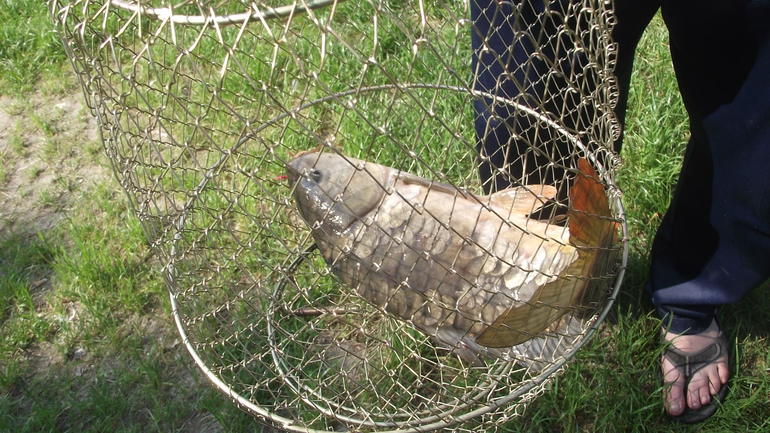 Рыбалка