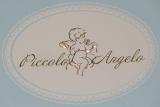 Конверт на выписку Piccolo Angelo весна