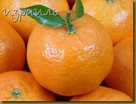 ece266255ed5debaf715a0c0bfe09113.jpg